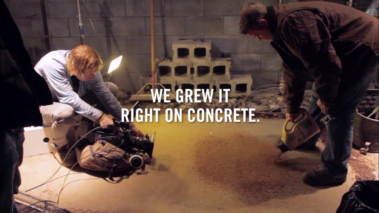 Grow Anywhere: EZ Seed's All-in-One Formula for Lawn Repair